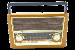 Портативный радиоприемник Everton RT-321 с фонарем Bluetooth FM USB SD (1756375708)