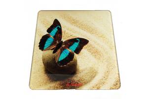 Весы напольные A-PLUS до 180 кг (1677) Бабочка на песке
