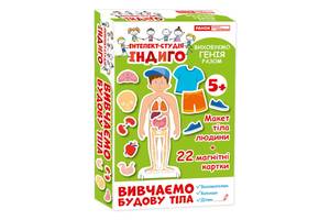 Дитяча розвиваюча гра на магнітах. Вивчаємо будову тіла 13109081, 22 картки в наборі