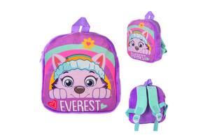 Дитячий рюкзак Paw Patrol PL82101 Еверест, 20*7*22 см