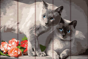 Картина по номерам по дереву 'Сиамские коты' ART STORY ASW128 30х40 см