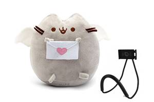 Мягкая игрушка Pusheen cat с письмом + подарок (n-1042)