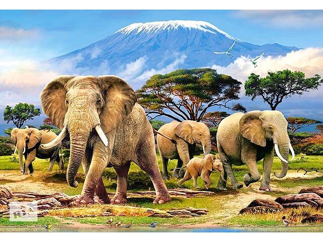 Пазлы Castorland 'Слоны у подножия Килиманджаро' 1000 элементов 68 х 47 см C-103188