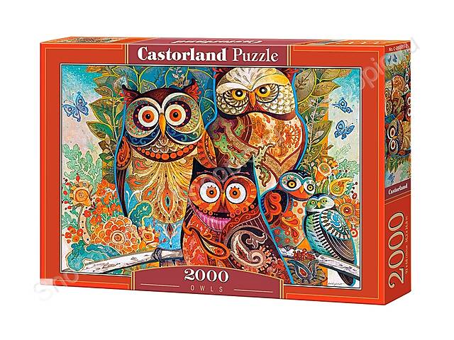 Пазлы Castorland Совы художника 2000 элементов (С-200535)