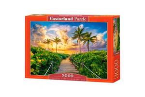 Пазлы Castorland 'Цветной восход солнца в Майами' 3000 элементов 92 х 68 см C-300617