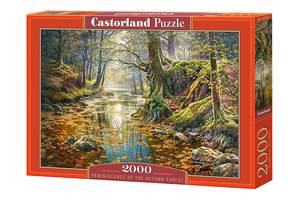Пазлы Castorland 'Воспоминание о весеннем лесу' 2000 элементов 92 х 68 см C-200757