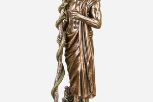 Статуэтка подарочная с бронзовым покрытием Veronese Бог врачевания Асклепий 29 см 177123 Купи уже сегодня!