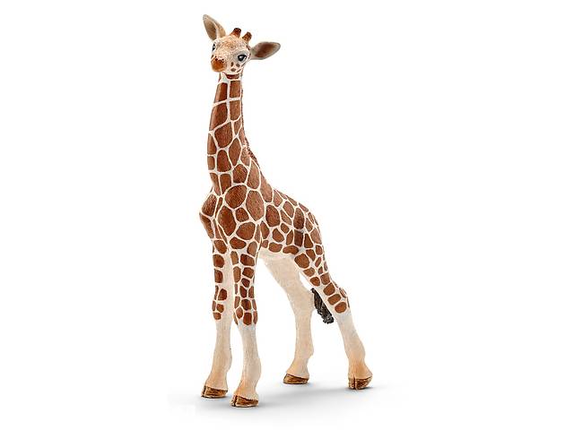 Игровая фигурка Schleich Детеныш жирафа 68х35х118 мм (6833877)