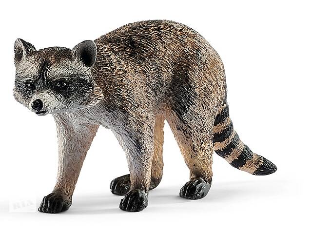 Игровая фигурка Schleich Енот-полоскун 74х25х40 мм (6688214)