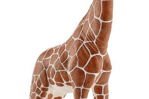 Игровая фигурка Schleich Жирафа самка 90х42х172 мм (6834233)