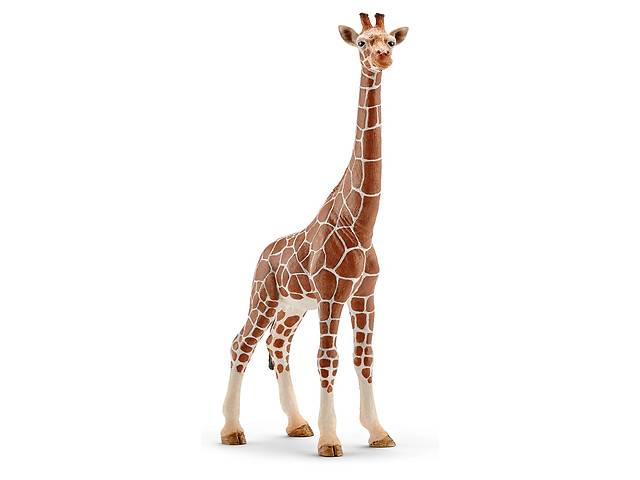 Игровая фигурка Schleich Жирафа самка 90х42х172 мм (6834233)