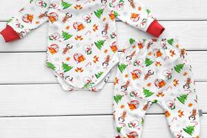 Боди и штаны для малышей от трех месяцев snowman с начесом Dexter`s 80 см белый красный (13129672300)