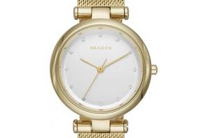 Часы SKAGEN SKW2486