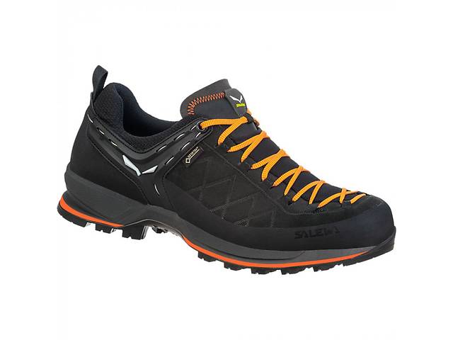 Кроссовки Salewa MS MTN Trainer 2 GTX 41 Черный (1054-013.001.4283)