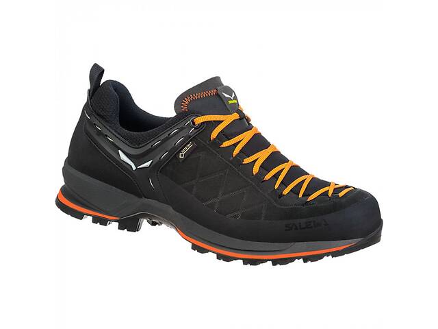 Кросівки Salewa MS MTN Trainer 2 GTX 46 Чорний (1054-013.001.4290)