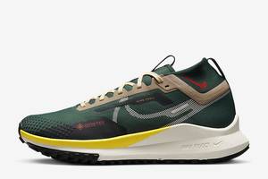 Кроссовки мужские Nike React Pegasus Trail 4 Gtx (FD0317-333) 43 Комбинированный