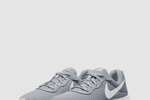 Кроссовки мужские Nike Tanjun (DJ6258-002) 43 Серый