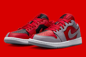 Кроссовки женские Nike 1 Low (DR0502-600) 38 Комбинированный