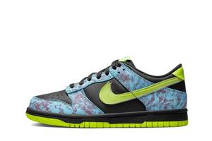 Кроссовки женские Nike Dunk Low Gs “Acid Wash” (DV1694-900) 38 Комбинированный