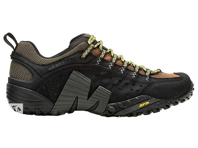 Мужские ботинки Merrell Intercept 49 Черный (2129675370)
