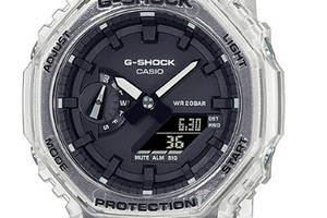Мужские часы Casio GA-2100SKE-7AER (1374257301)