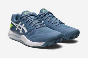 Мужские кроссовки Asics Gel-Challenger 13 clay серый/белый (42.5) 9 1041A221-400 42.5