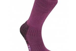 Носки Bridgedale Woolfusion Trail Wmns Berry L (1053-610652.370.L)