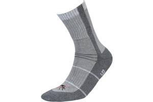 Носки InMove Outdoor Mosquitostop 41-43 Grey/Graphite (1026-omgreygraphite4143)