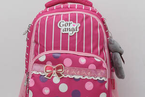 Ортопедический школьный рюкзак для подростка Gorangd