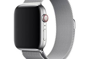 Ремешок Milanese Loop для Apple Watch 42/44mm металлический ARM Series 5 4 3 2 1 Silver