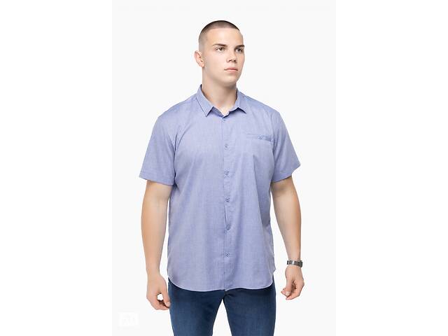 Рубашка классическая однотонная мужская Stendo 235004 5XL Голубой (2000989740124)