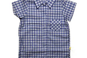 Рубашка Лио хлопок Клеточка синяя 104 (4895402)