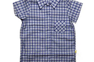 Рубашка Лио хлопок Клеточка синяя 110 (4895402)