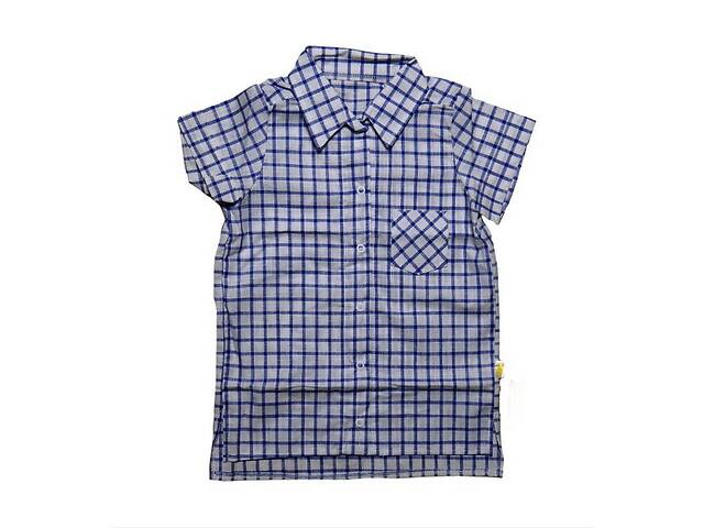 Рубашка Лио хлопок Клеточка синяя 110 (4895402)