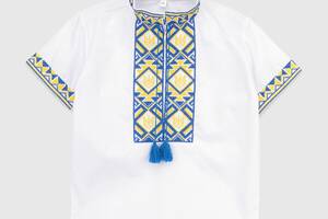 Рубашка с вышивкой для мальчика Козачок тризуб 104 см Разноцветный (2000989824817)