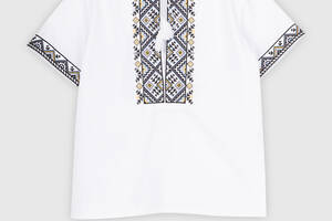 Рубашка вышиванка для мальчика Козачок Илья 86 см Разноцветный (2000989824626)