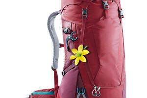 Рюкзак Deuter Futura 24 SL Cranberry-Maron (1052-3400218 5528)