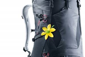 Рюкзак Deuter Futura 28 SL Black (1052-3400618 7000)