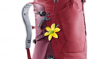 Рюкзак Deuter Futura 28 SL Cranberry-Maron (1052-3400618 5528)