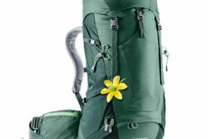 Рюкзак Deuter Futura Pro 34 SL Seagreen-Forest (1052-3401018 2247)