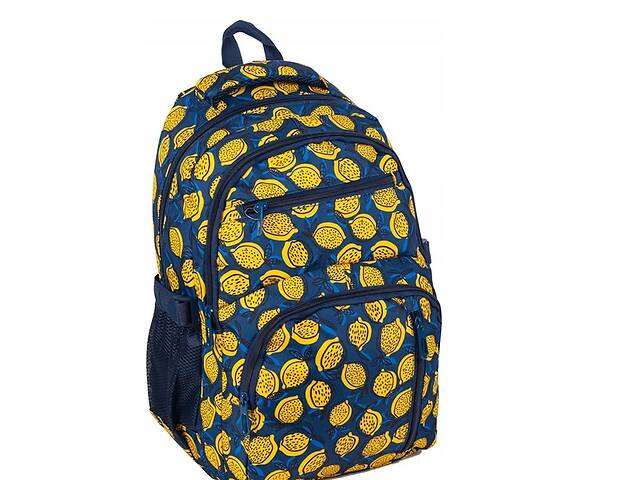 Рюкзак с ортопедической спинкой Paso 24L Синий с лимонами