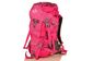 Рюкзак туристический Onepolar Женский рюкзак туриста ONEPOLAR W1632-pink