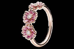 Серебряное кольцо в позолоте Pandora Розовые маргаритки rose 188792C01 52