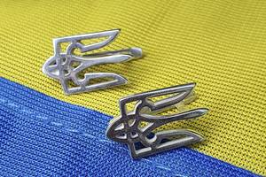 Сережки герб Украины Maxi Silver 9161