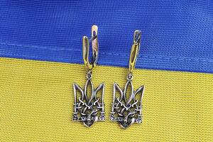 Серьги герб Украины Maxi Silver 9152