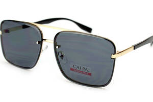 Солнцезащитные очки мужские Cai Pai 30-02-C3 Серый