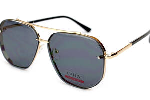 Солнцезащитные очки мужские Cai Pai 30-03-C3 Серый