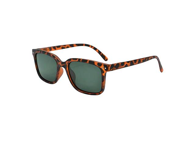 Солнцезащитные очки Sanico MQR 0133 ISCHIA turtle - lenti green lenti polarizzate cat.3