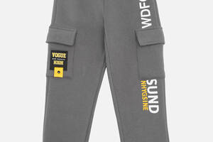Спортивные брюки для мальчика 128 серый Lizi Kids ЦБ-00220697