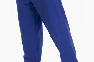 Спортивные брюки прямые мужские Breezy 23203008 S Синий (2000989755272)